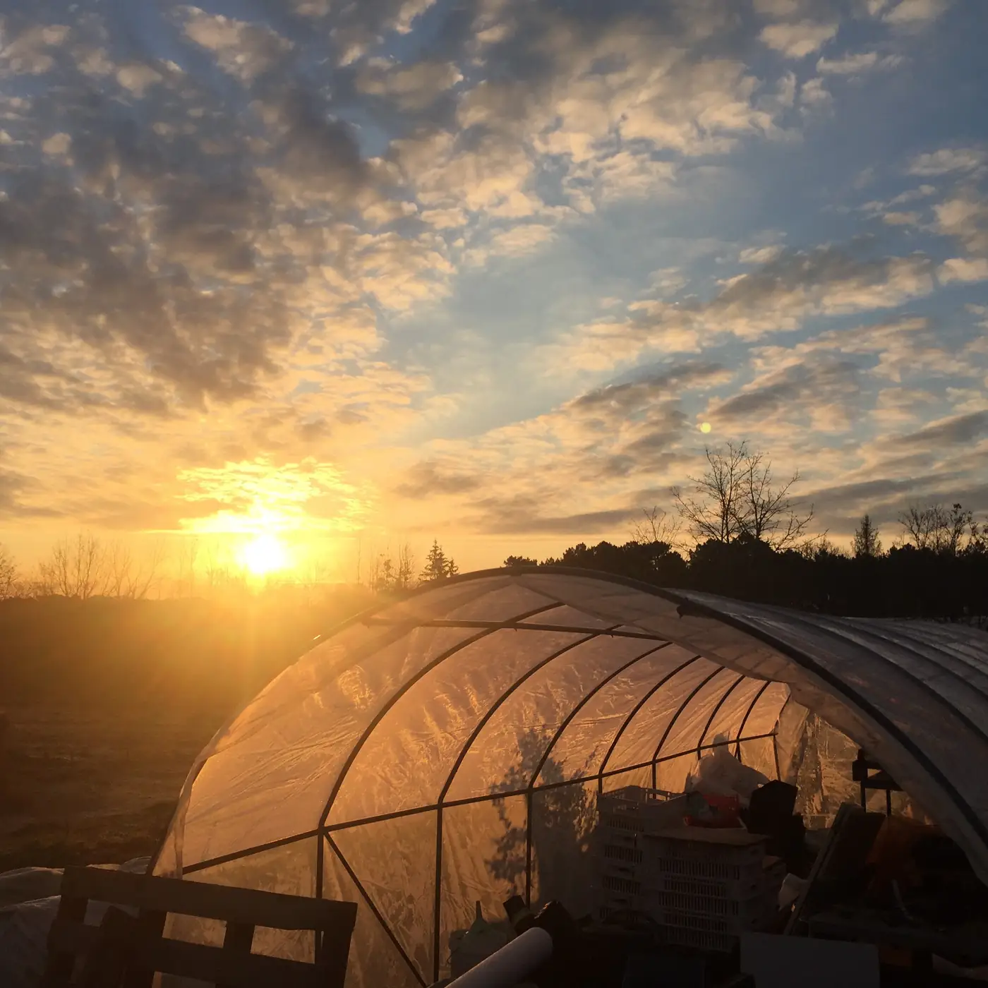 La serre maraîchère de la ferme au lever du soleil en Dordogne